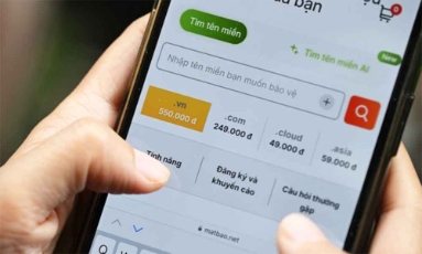  Việt Nam lần đầu đấu giá tên miền '.vn'